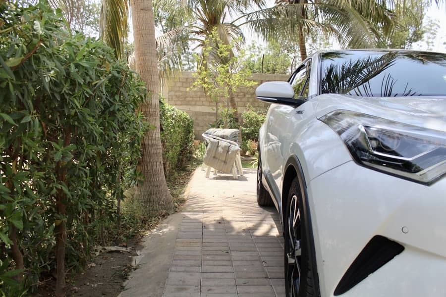 CH-R pearl white 1