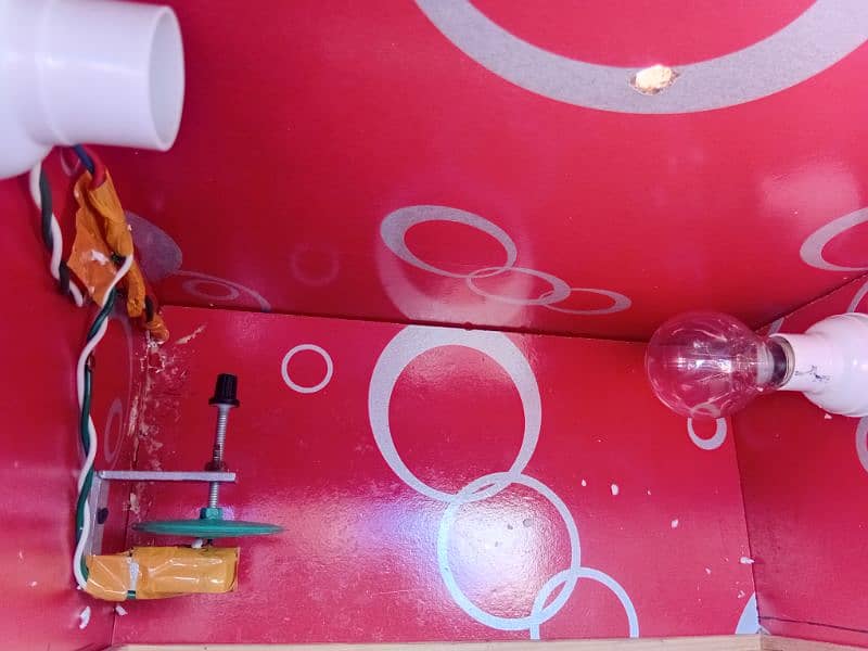 incubator for bird eggs 1