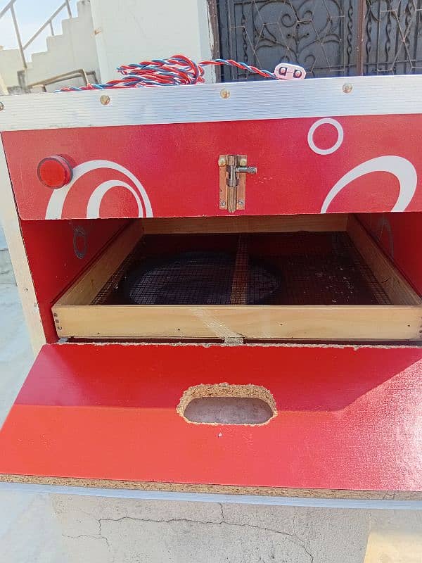 incubator for bird eggs 2