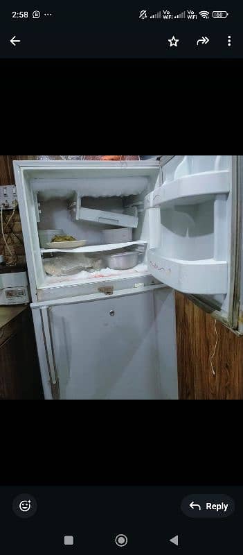 medium size fridge waves coolbank 1