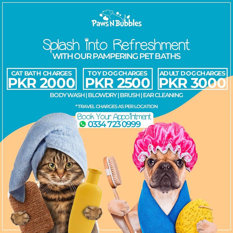 Pet Grooming Home Service now in Karachi in cheap rates ! 0
