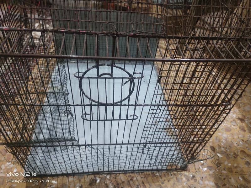 birds cage 2
