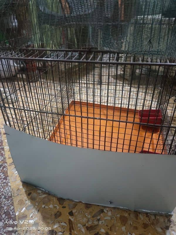 birds cage 5