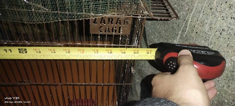 birds cage 7