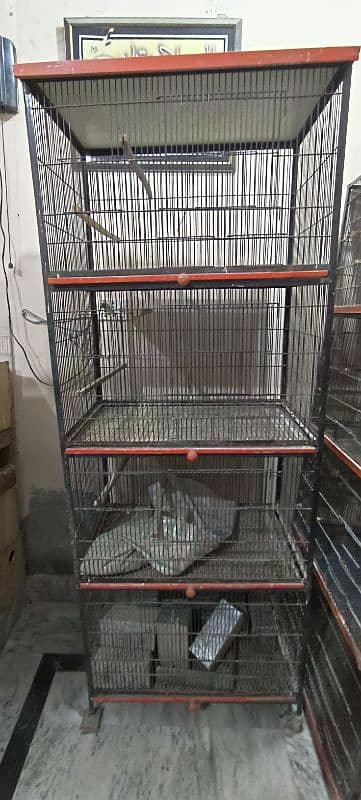 2 Cages Size One Cage 1.5 × 1.5 × 2.5 Aik portion Size 0