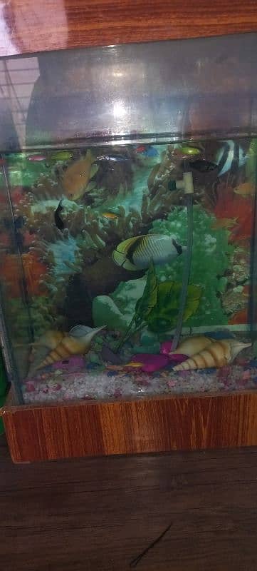 fishes with aquarium 1