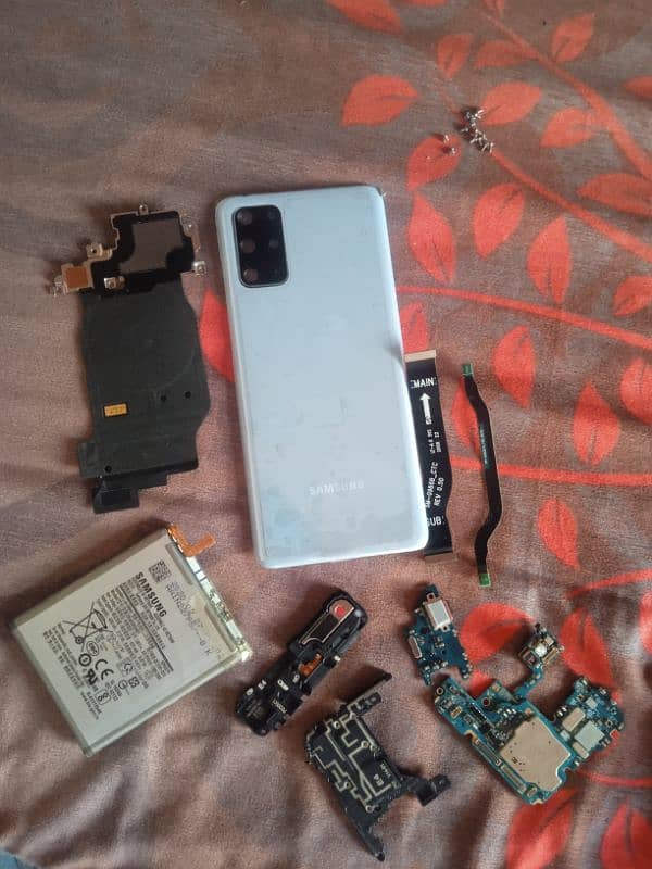 S20+  board. camera. body. stips betray 6