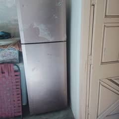 pel fridge large size