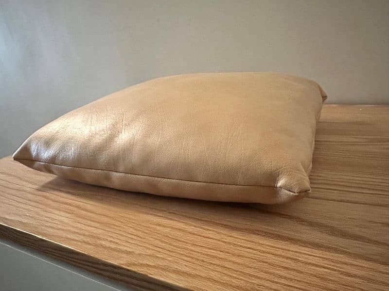 06 leather cushions (beige) 2