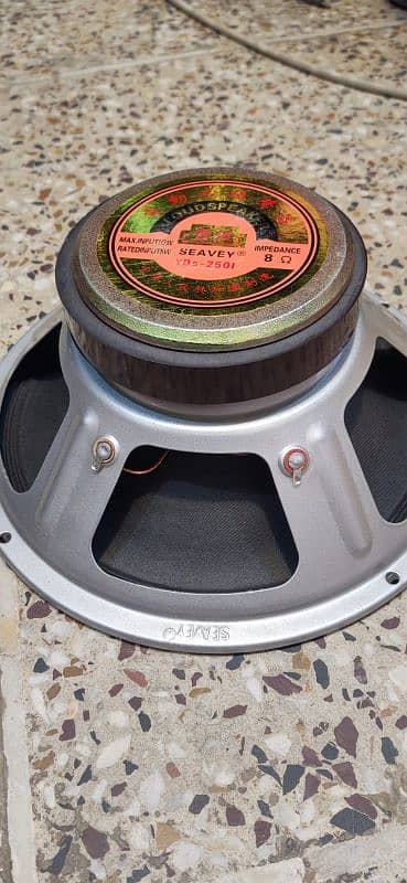 "10" inch Filo/seavy speaker 2