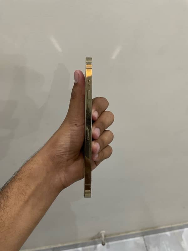 12 pro max golden /256 non pta sim glitch/waterpack 3
