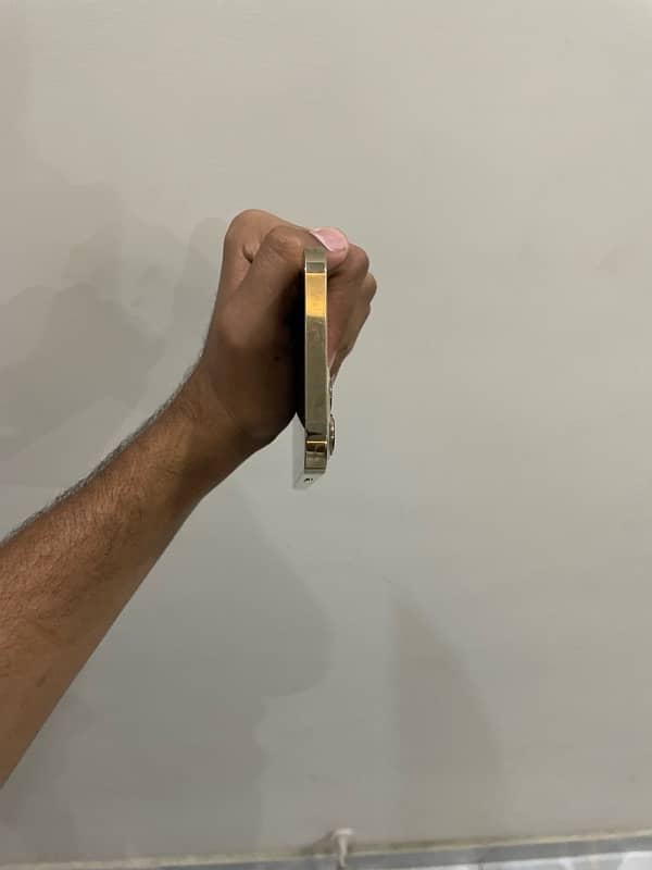 12 pro max golden /256 non pta sim glitch/waterpack 4