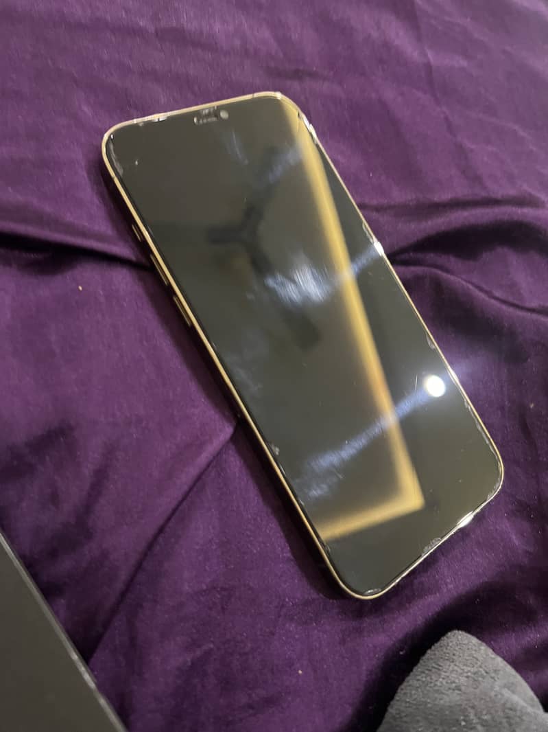 iPhone 12 Pro Max 2
