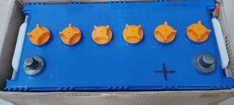 AGS N125 (100 Amp, 17 plates) 1