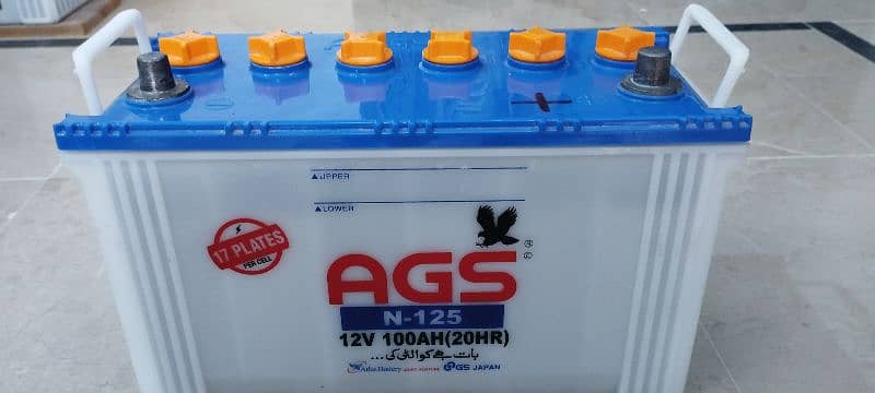 AGS N125 (100 Amp, 17 plates) 2