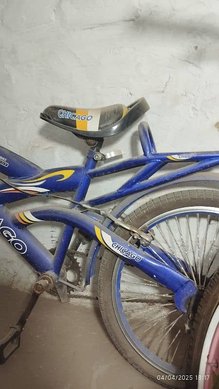 blue boys cycle 1
