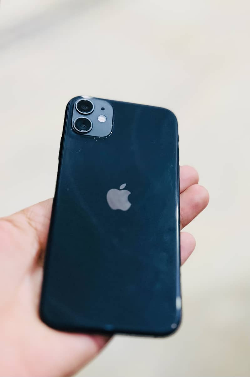 Apple iPhone 11 0
