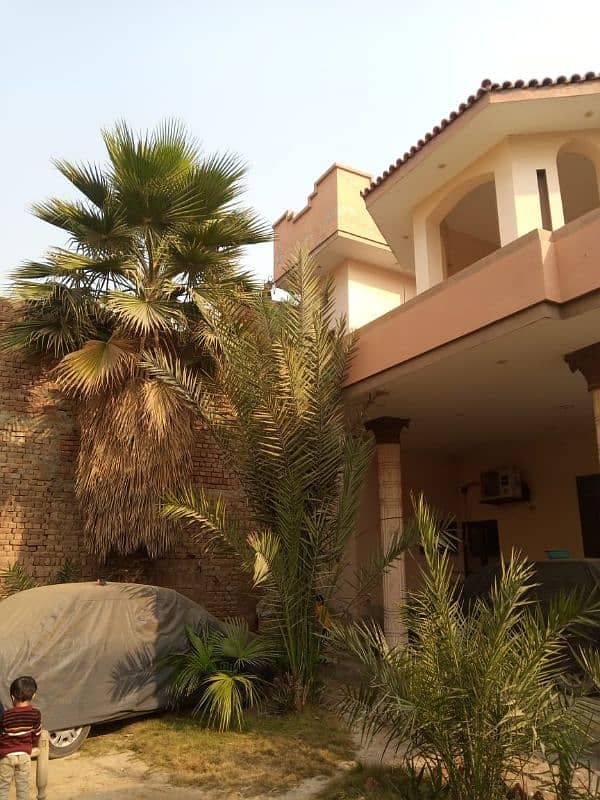 Very Beautiful Palm Trees, Wall Palm 3