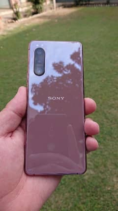 SONY