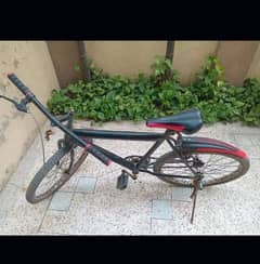 cycle
