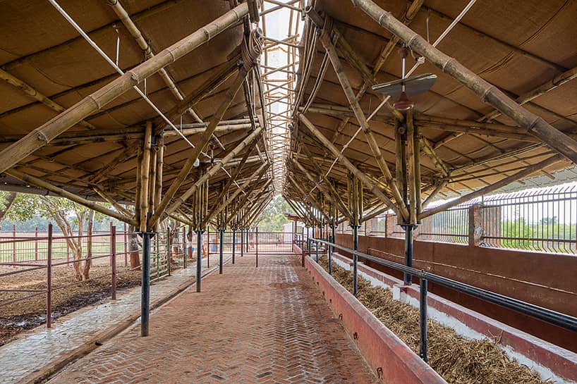 Bamboo Work|Animal Shelter|Parking Shades|Wall Partitions|Jafri shade 11
