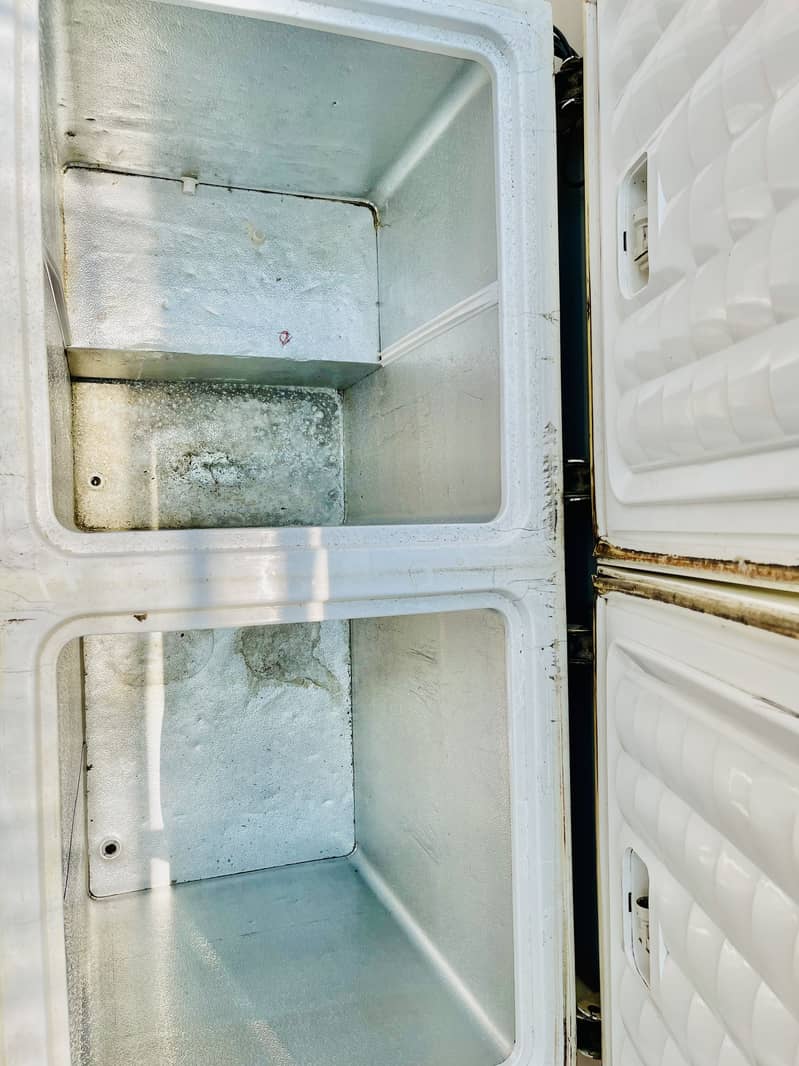 Waves double door deep freezer-large 2