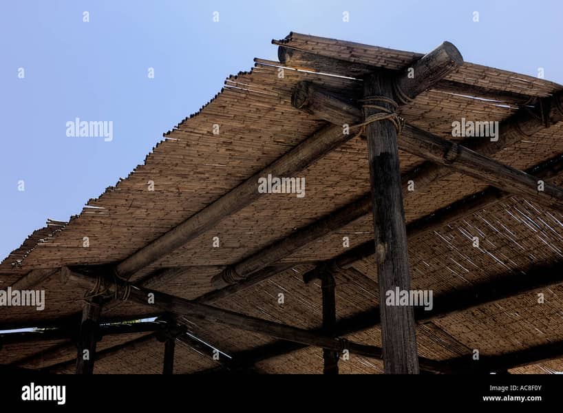 Bamboo Work|Animal Shelter|Parking Shades|Wall Partitions|Jafri shade 7