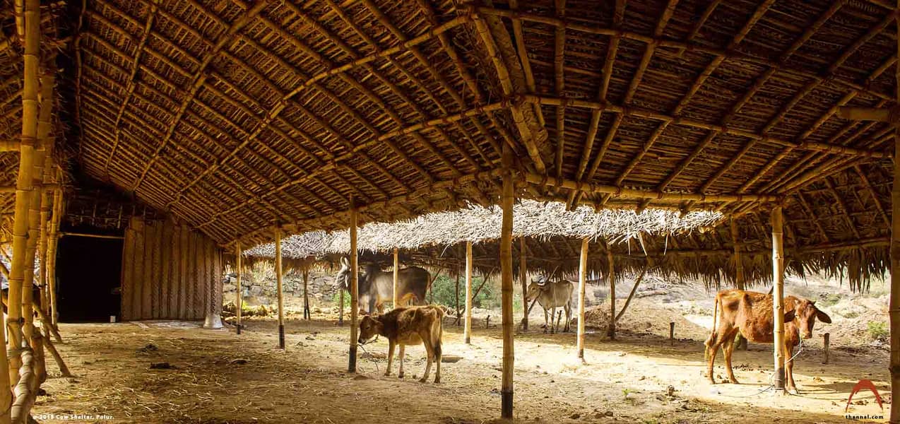 Bamboo Work|Animal Shelter|Parking Shades|Wall Partitions|Jafri shade 8