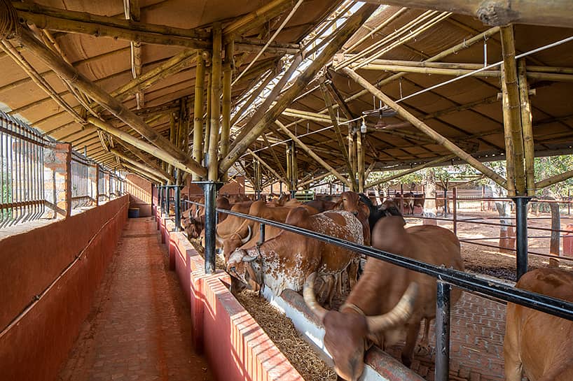 Bamboo Work|Animal Shelter|Parking Shades|Wall Partitions|Jafri shade 12