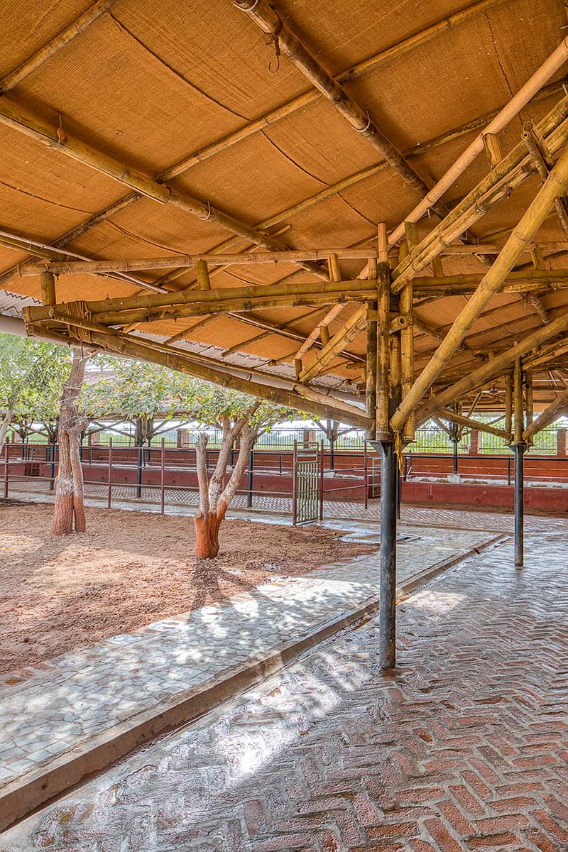 Bamboo Work|Animal Shelter|Parking Shades|Wall Partitions|Jafri shade 13