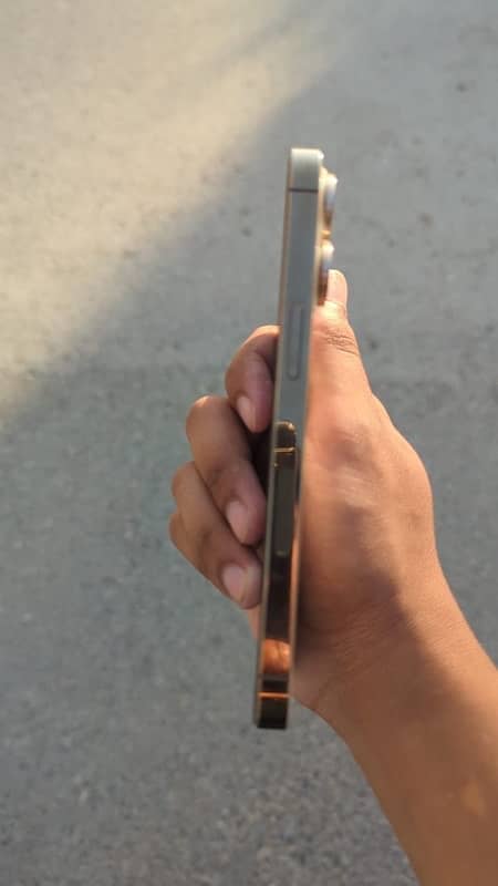 I phone 13 por 1