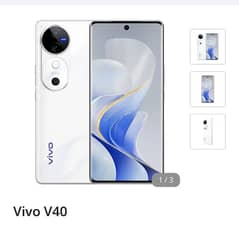 vivo