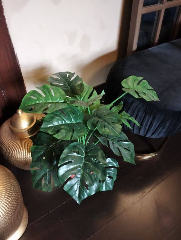 Real & Artificial Plants & Pots for Sale 17