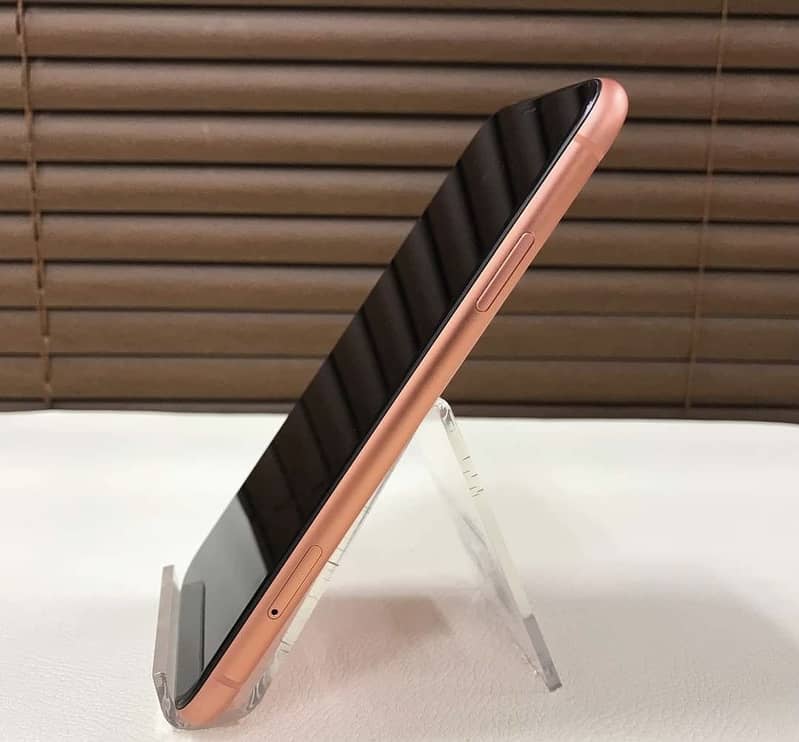iPhone XR 1