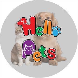 Hello