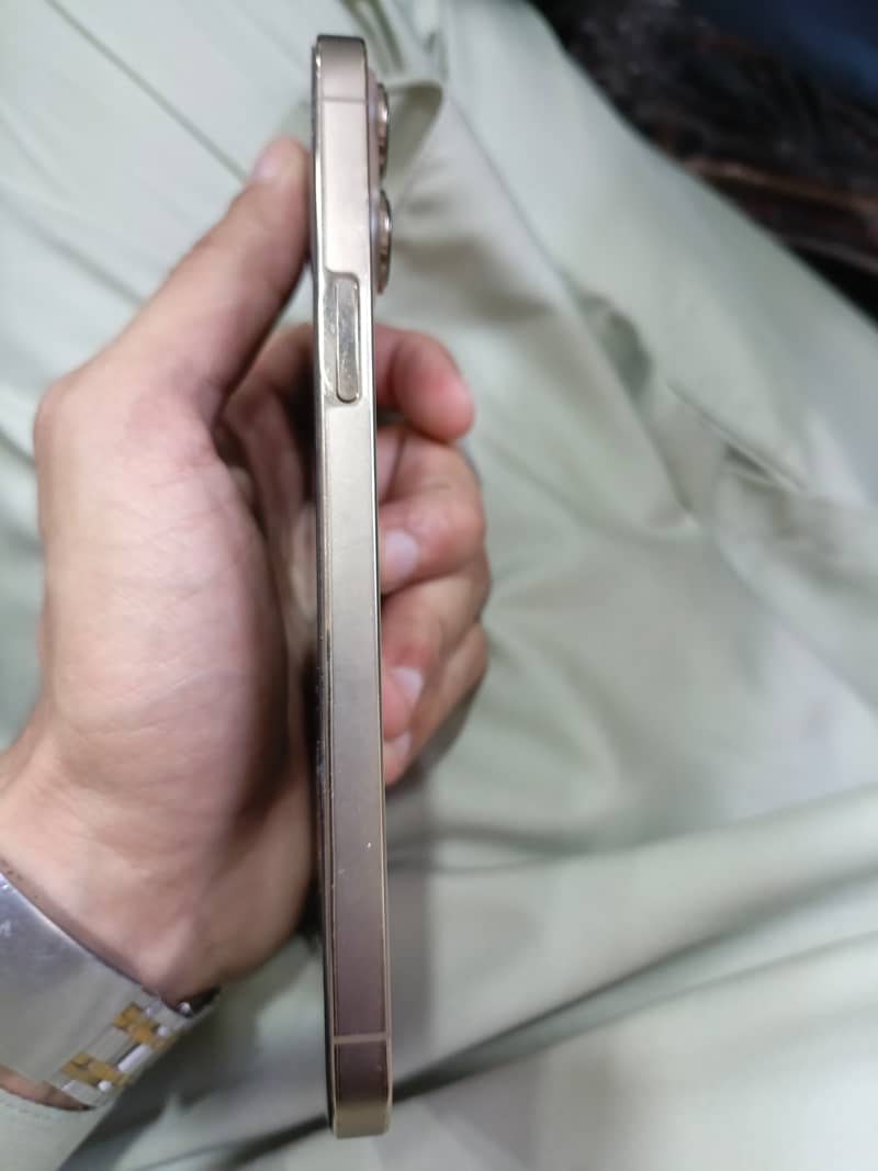 Apple iPhone 13 Pro Max 1