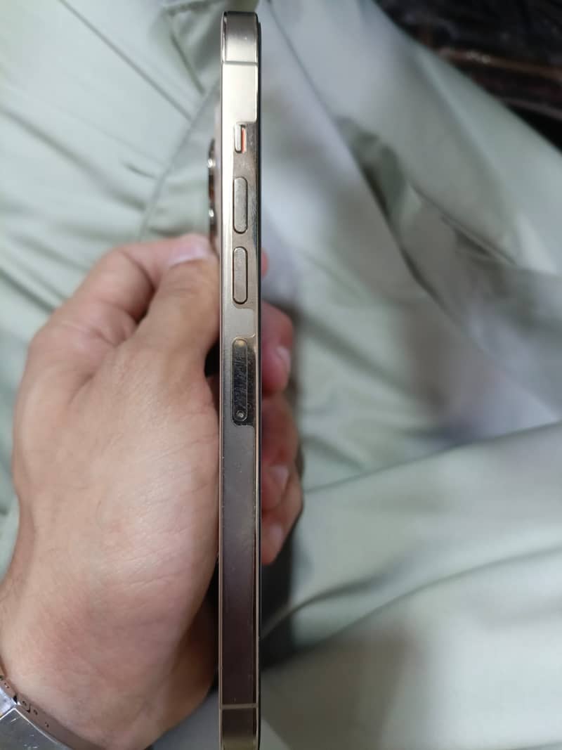 Apple iPhone 13 Pro Max 4