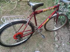 Sports bicycle