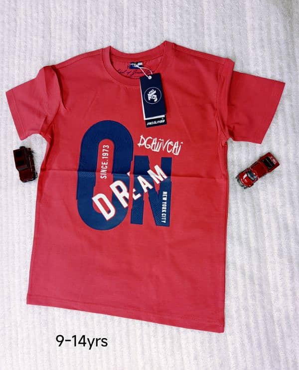Imported Premium Quality T Shirts 1