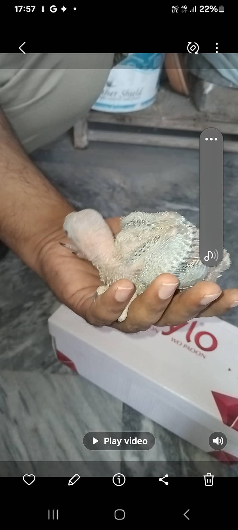 Raw chick jumbo size 0