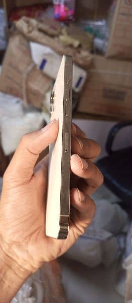 iphone 12 pro max 1