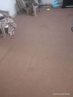 brown carpet simple