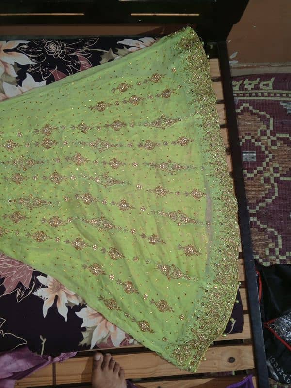 Bridle Maxi Pista Color 2