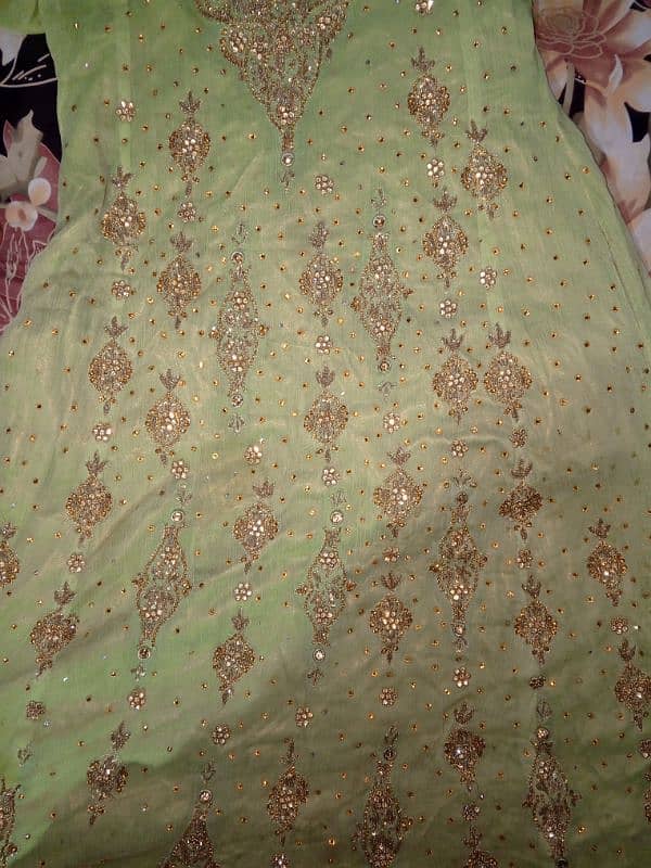 Bridle Maxi Pista Color 3