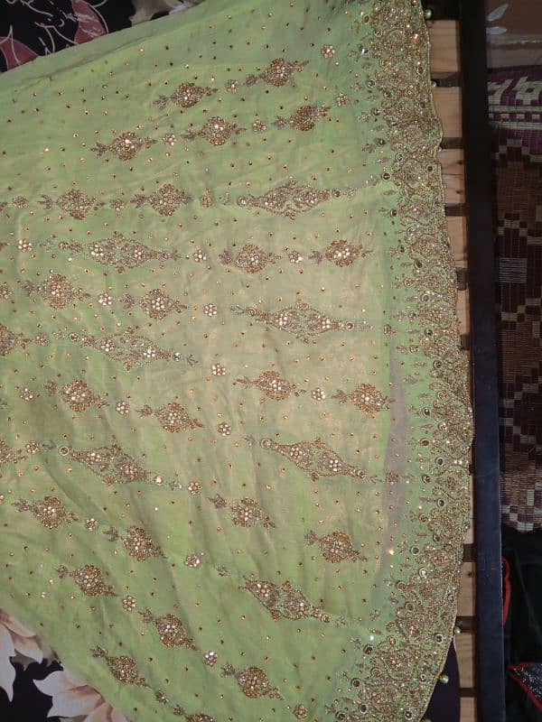 Bridle Maxi Pista Color 4