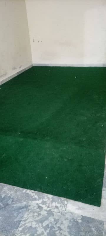 plan carpet with form 0