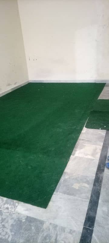 plan carpet with form 1