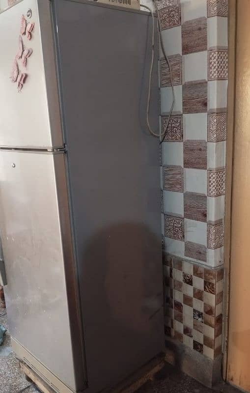 PEL Refrigerator 1