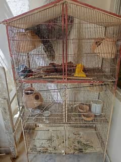 Cage big size with 6 doors