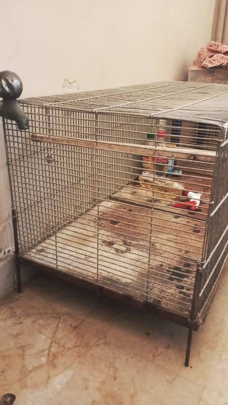Birds Cage 0